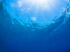 水質・大気・廃棄物などの分析